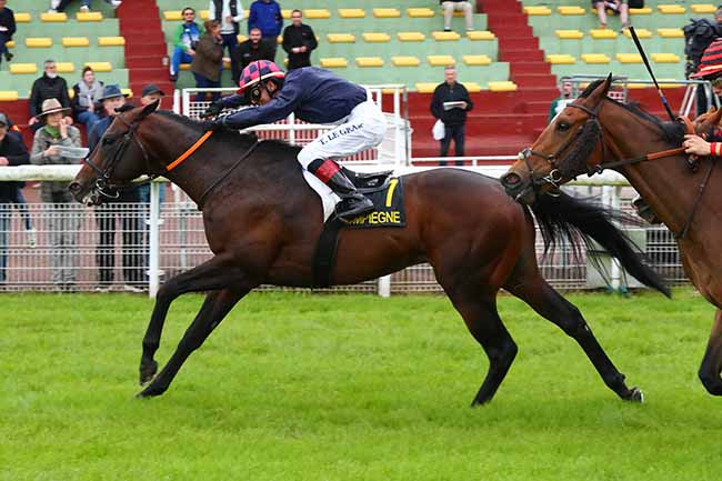 Photo d'arrivée de la course pmu PRIX DE LA CLAIRIERE DE L'ARMISTICE à COMPIEGNE le Vendredi 31 mai 2024