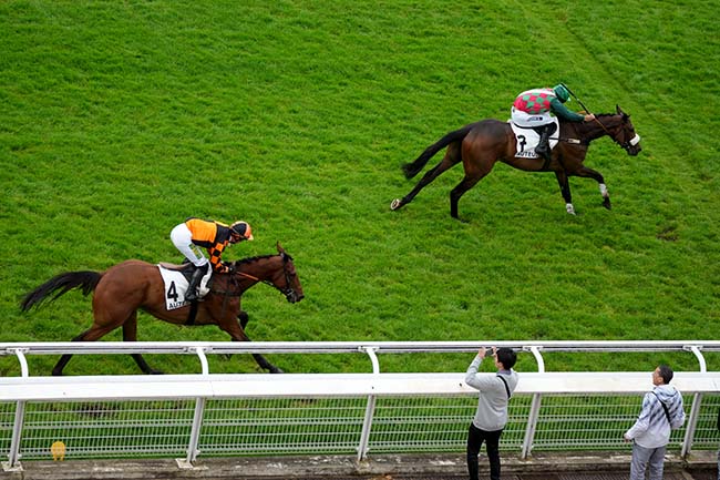 Photo d'arrivée de la course pmu PRIX ROCKING CHAIR à AUTEUIL le Samedi 1 juin 2024
