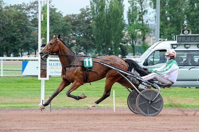 Photo d'arrivée de la course pmu PRIX DE LA SOLOGNE à VICHY le Lundi 3 juin 2024