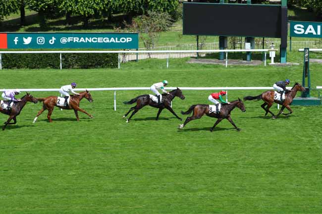 Photo d'arrivée de la course pmu PRIX ALLEE D'AMOUR à SAINT CLOUD le Mardi 4 juin 2024