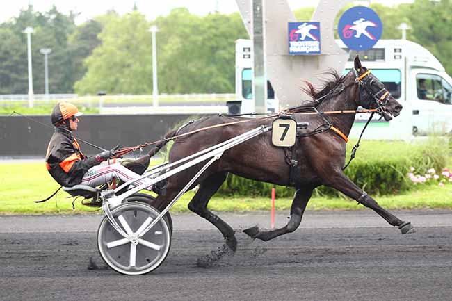 Photo d'arrivée de la course pmu PRIX PROKNE à PARIS-VINCENNES le Mardi 4 juin 2024