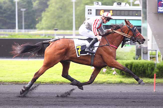 Photo d'arrivée de la course pmu PRIX PAUL DELANOE à PARIS-VINCENNES le Mardi 4 juin 2024