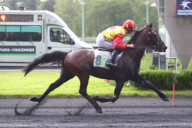 Photo d'arrivée de la course pmu PRIX CYGNUS à PARIS-VINCENNES le Mardi 4 juin 2024