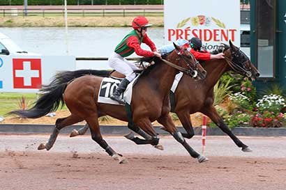 Photo d'arrivée de la course pmu PRIX DU CONSEIL REGIONAL DES PAYS DE LA LOIRE à LAVAL le Mercredi 5 juin 2024