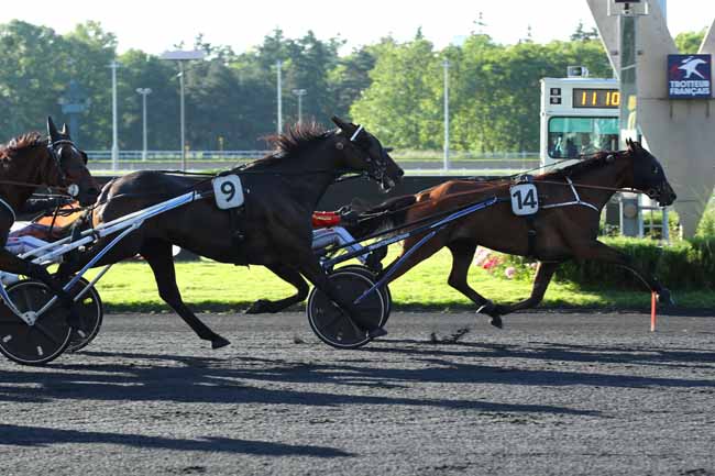 Photo d'arrivée de la course pmu PRIX TROPIQUES FM (PRIX MARSIK) à PARIS-VINCENNES le Vendredi 7 juin 2024