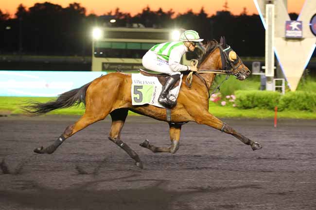 Photo d'arrivée de la course pmu PRIX BILLETS DISCOUNT (PRIX LYDIA) à PARIS-VINCENNES le Vendredi 7 juin 2024