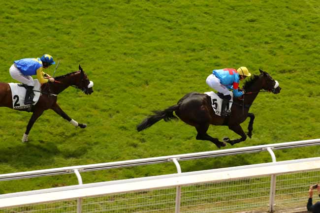 Photo d'arrivée de la course pmu PRIX STANLEY à AUTEUIL le Samedi 8 juin 2024