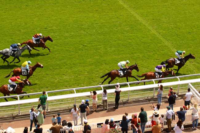 Photo d'arrivée de la course pmu PRIX DU NOUVEAU CERCLE DE L'UNION - PRIX GACKO à AUTEUIL le Samedi 8 juin 2024