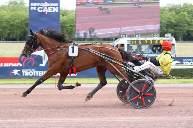Photo d'arrivée de la course pmu PRIX DE SAUSSAY à CAEN le Lundi 10 juin 2024