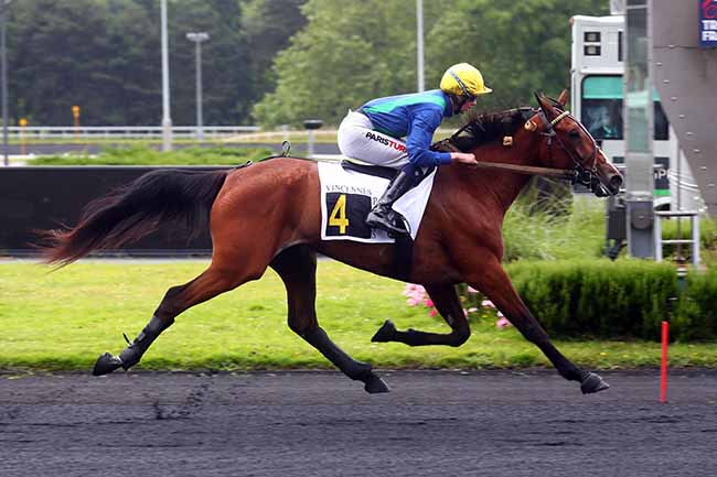 Photo d'arrivée de la course pmu PRIX SERPENTIS à PARIS-VINCENNES le Mardi 11 juin 2024