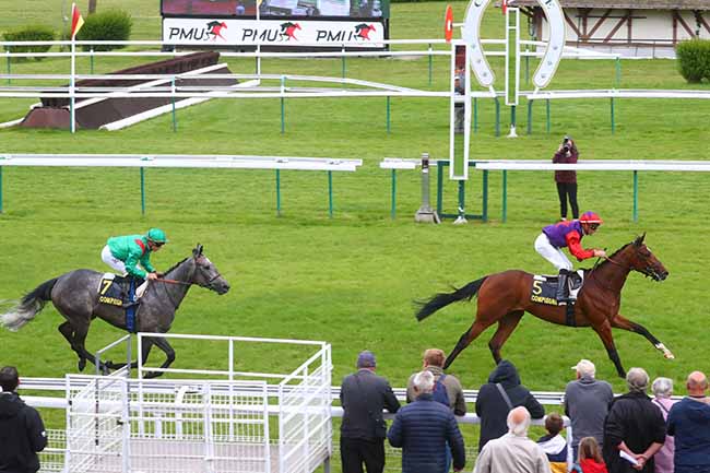 Photo d'arrivée de la course pmu PRIX DU PUITS D'ANTIN à COMPIEGNE le Mercredi 12 juin 2024