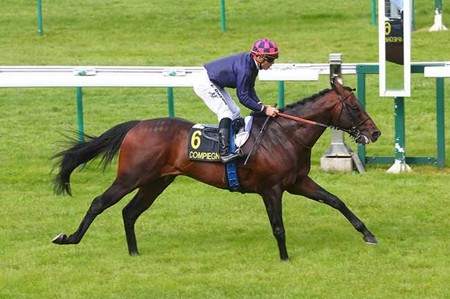 Photo d'arrivée de la course pmu PRIX DU CHATEAU DE COMPIEGNE à COMPIEGNE le Mercredi 12 juin 2024