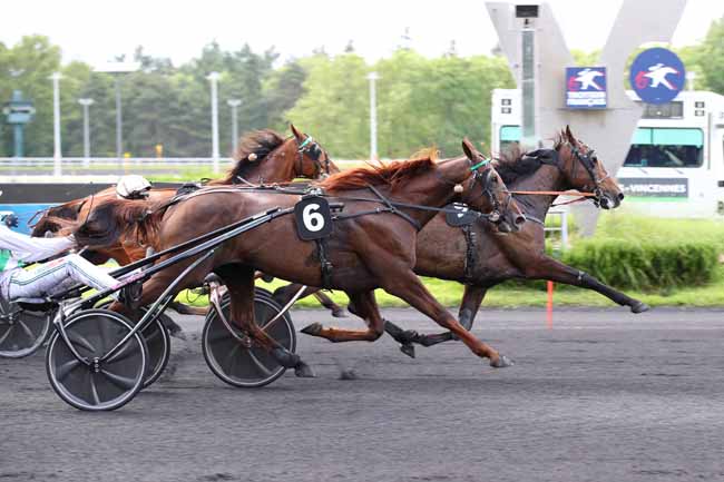 Photo d'arrivée de la course pmu PRIX EUDORA à PARIS-VINCENNES le Vendredi 14 juin 2024