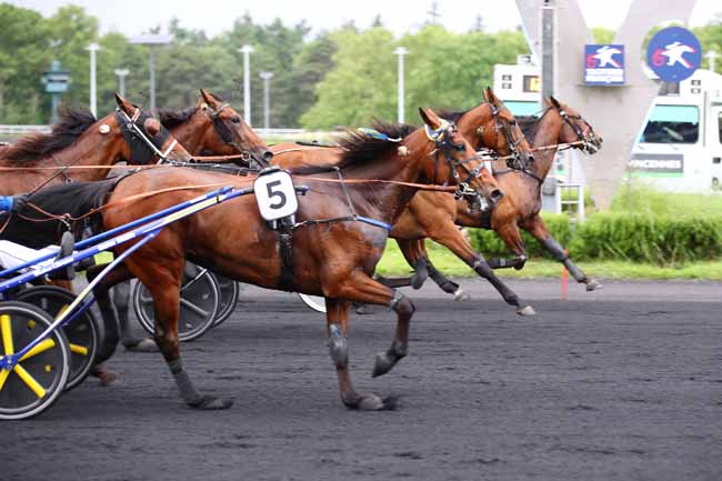 Photo d'arrivée de la course pmu PRIX LIGURIA à PARIS-VINCENNES le Vendredi 14 juin 2024