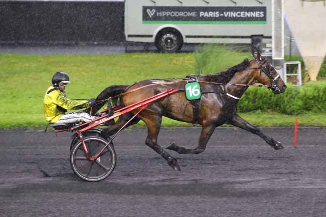 Photo d'arrivée de la course pmu PRIX TROPIQUES FM (PRIX HYGICA) à PARIS-VINCENNES le Vendredi 14 juin 2024