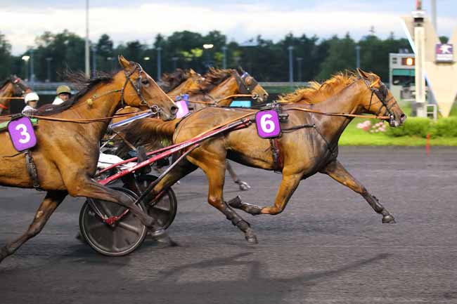 Photo d'arrivée de la course pmu PRIX TRACE TV (PRIX DIDO) à PARIS-VINCENNES le Vendredi 14 juin 2024
