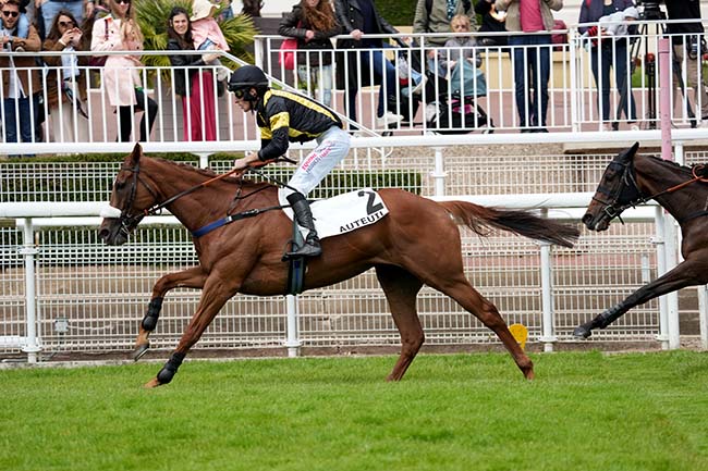 Photo d'arrivée de la course pmu PRIX CHRISTIAN DE TREDERN à AUTEUIL le Samedi 15 juin 2024