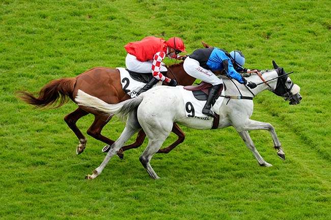 Photo d'arrivée de la course pmu PRIX GILBERT GALLOT à AUTEUIL le Samedi 15 juin 2024