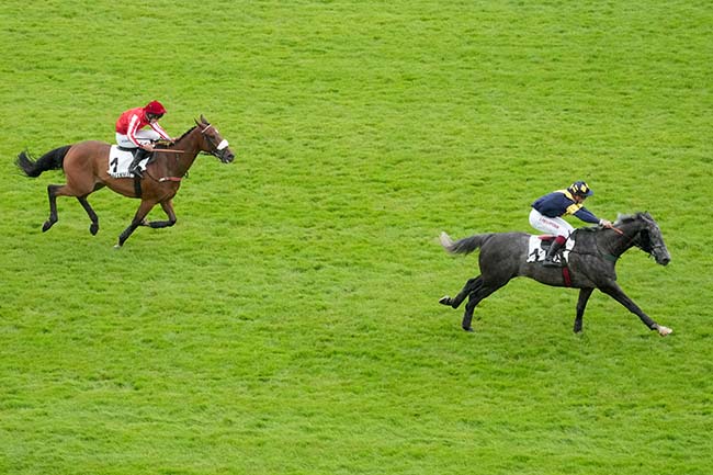 Photo d'arrivée de la course pmu PRIX RIGOLETTO à AUTEUIL le Samedi 15 juin 2024