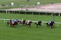 Photo d'arrivée de la course pmu PRIX IDALIE à SAINT CLOUD le Lundi 17 juin 2024