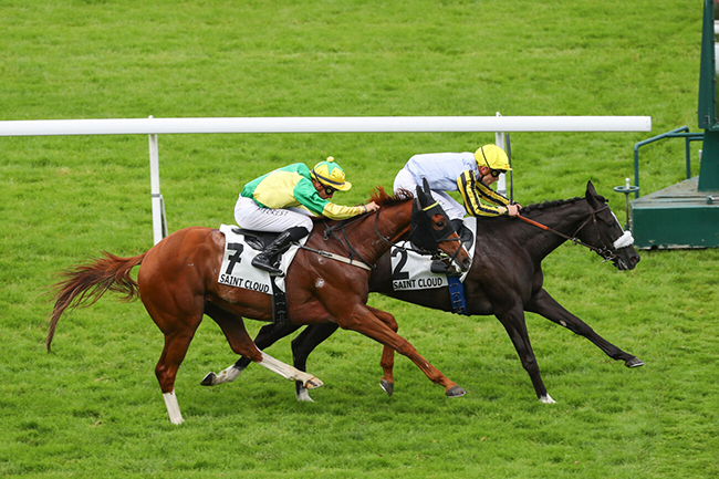 Photo d'arrivée de la course pmu PRIX DE VILLAROCHE à SAINT CLOUD le Lundi 17 juin 2024