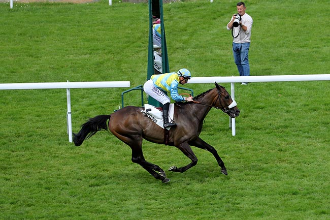Photo d'arrivée de la course pmu PRIX D'ANDRESY à SAINT CLOUD le Lundi 17 juin 2024