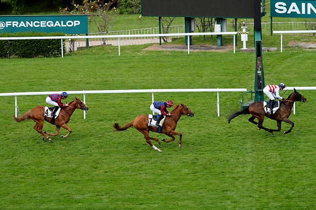 Photo d'arrivée de la course pmu PRIX DE MALIDOR à SAINT CLOUD le Lundi 17 juin 2024
