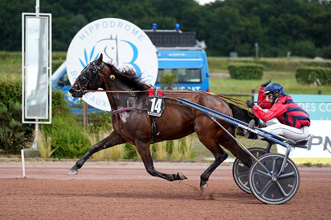 Photo d'arrivée de la course pmu GRAND NATIONAL DES AMATEURS à BORDEAUX-LE BOUSCAT le Mercredi 19 juin 2024