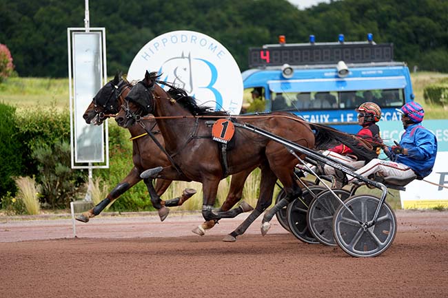 Photo d'arrivée de la course pmu PRIX DE L'HIPPODROME DE SAINT-MALO à BORDEAUX-LE BOUSCAT le Mercredi 19 juin 2024