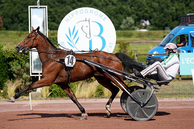 Photo d'arrivée de la course pmu PRIX BORDEAUX METROPOLE à BORDEAUX-LE BOUSCAT le Mercredi 19 juin 2024