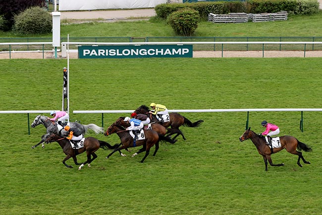 Photo d'arrivée de la course pmu PRIX DE LA PORTE MAILLOT à LONGCHAMP le Jeudi 20 juin 2024