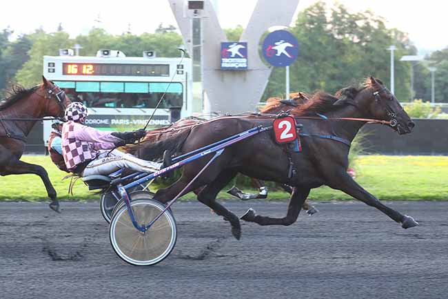 Photo d'arrivée de la course pmu PRIX TERPSICHORE à PARIS-VINCENNES le Vendredi 21 juin 2024