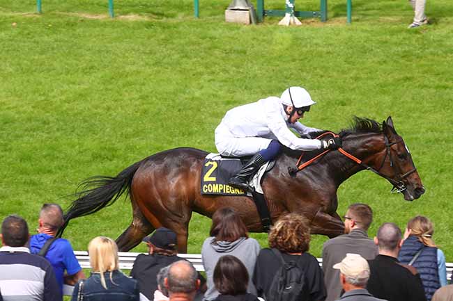 Photo d'arrivée de la course pmu GRAND PRIX DE COMPIEGNE - 5EME ETAPE DU DEFI DU GALOP (PRIX GEORGES CAMPRUBI) à COMPIEGNE le Samedi 22 juin 2024
