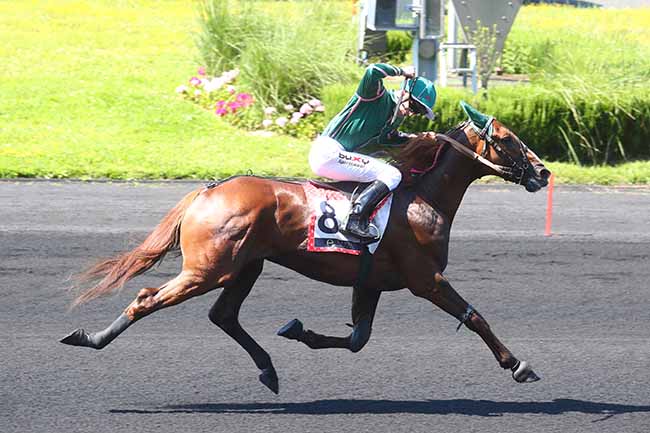Photo d'arrivée de la course pmu PRIX DE NORMANDIE - ETRIER 5 ANS FINALE à PARIS-VINCENNES le Dimanche 23 juin 2024
