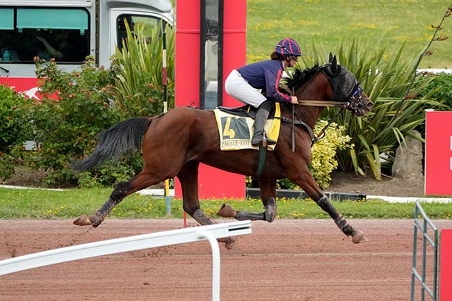 Photo d'arrivée de la course pmu PRIX DE L'OBSERVATOIRE à ENGHIEN le Samedi 29 juin 2024