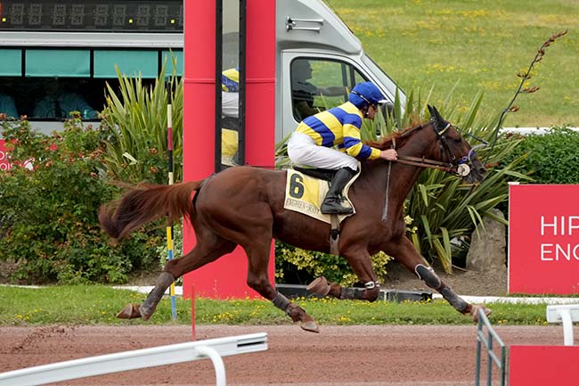 Photo d'arrivée de la course pmu PRIX DE CREPY-EN-VALOIS à ENGHIEN le Samedi 29 juin 2024