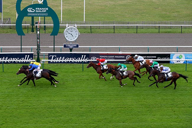 Photo d'arrivée de la course pmu PRIX DE LA FOSSE AUX BICHES ( PRIX MERCEDES-BENZ SAINT-MAXIMIN) à CHANTILLY le Samedi 29 juin 2024