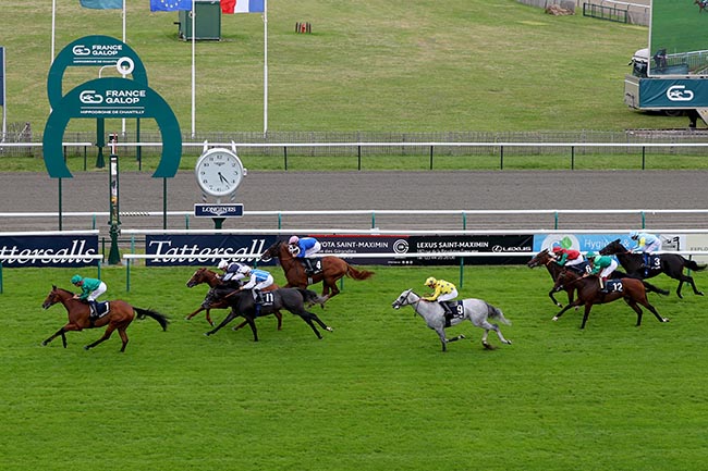Photo d'arrivée de la course pmu TATTERSALLS PRIX DE SAINT-PATRICK à CHANTILLY le Samedi 29 juin 2024