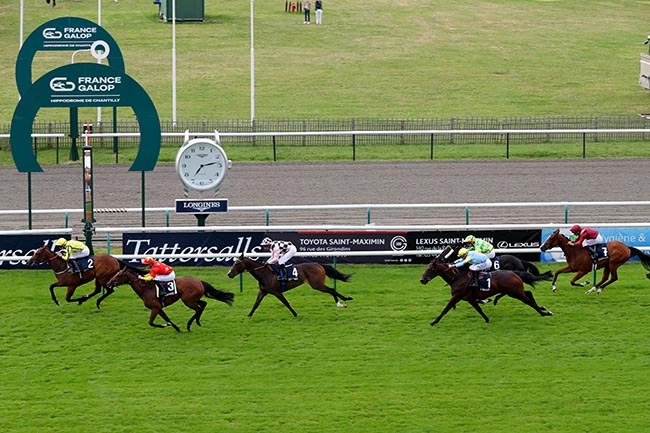 Photo d'arrivée de la course pmu TATTERSALLS PRIX DE BAGATELLE à CHANTILLY le Samedi 29 juin 2024
