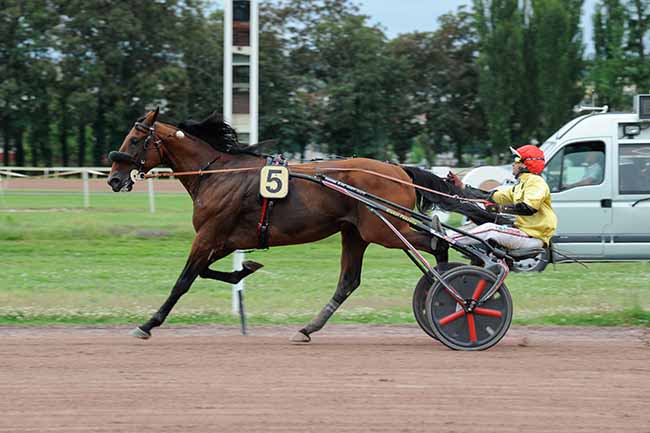 Photo d'arrivée de la course pmu GRAND PRIX DU CONSEIL MUNICIPAL à VICHY le Mardi 2 juillet 2024