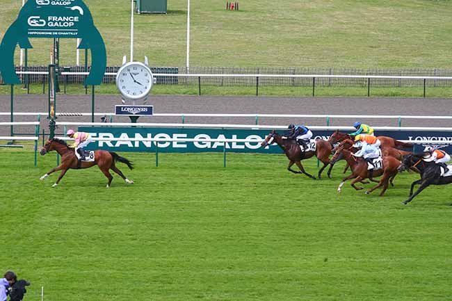 Photo d'arrivée de la course pmu PRIX DE LA COMMUNAUTE DE COMMUNES DE L'AIRE CANTILIENNE à CHANTILLY le Mardi 2 juillet 2024