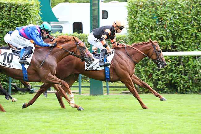 Photo d'arrivée de la course pmu PRIX LE ROI SOLEIL à CHANTILLY le Mardi 2 juillet 2024