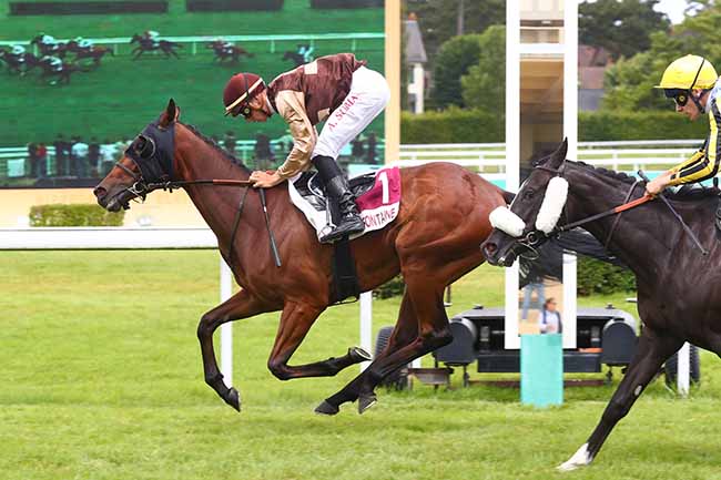 Photo d'arrivée de la course pmu PRIX LES NOUVELLES DE FALAISES - ACTU.FR (PRIX ALAIN LEQUEUX) à CLAIREFONTAINE le Vendredi 5 juillet 2024