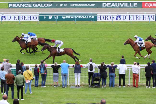 Photo d'arrivée de la course pmu PRIX DE TANCARVILLE à DEAUVILLE le Dimanche 7 juillet 2024