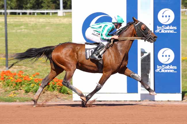 Photo d'arrivée de la course pmu PRIX DES SOCIETES DE COURSES DE VENDEE à LES SABLES D'OLONNE le Lundi 8 juillet 2024