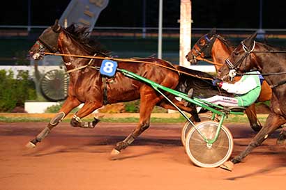 Photo d'arrivée de la course pmu PRIX DES LEUCANTHEMES à CABOURG le Vendredi 12 juillet 2024