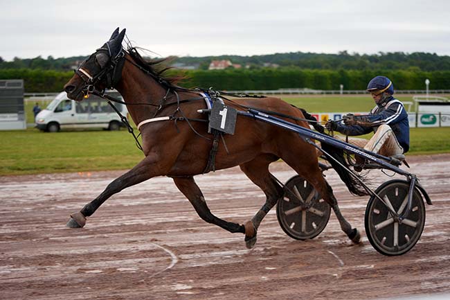 Photo d'arrivée de la course pmu PRIX MARIE-JOSE PEREC à ARGENTAN le Lundi 15 juillet 2024