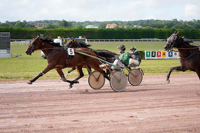 Photo d'arrivée de la course pmu PRIX RENAUD LAVILLENIE à ARGENTAN le Lundi 15 juillet 2024