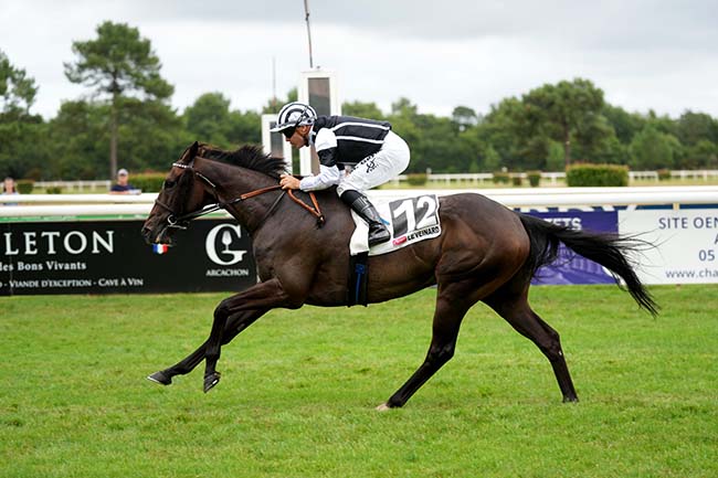Photo d'arrivée de la course pmu PRIX LE JOURNAL 