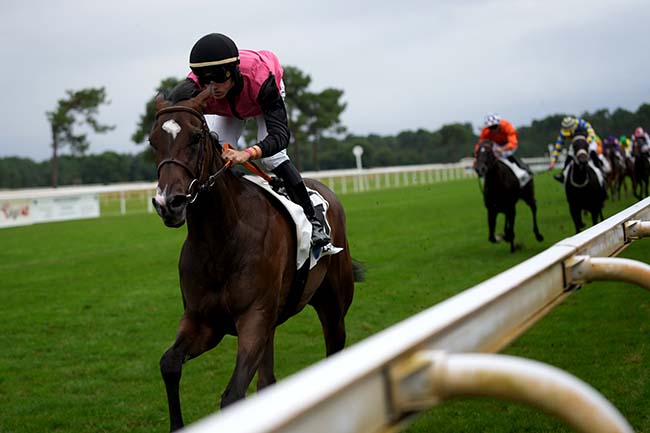 Photo d'arrivée de la course pmu PRIX SEA GREEN CAMPING LA FORGE**** à LA TESTE DE BUCH le Dimanche 21 juillet 2024